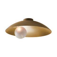 Oyster Brushed Brass Ceiling Mounted Lamp by Carla Baz