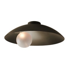 Oyster Brushed Bronze Ceiling Mounted Lamp by Carla Baz