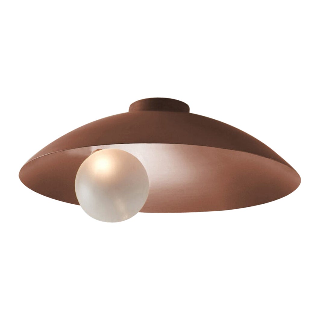 Oyster Brushed Copper Ceiling Mounted Lamp by Carla Baz For Sale