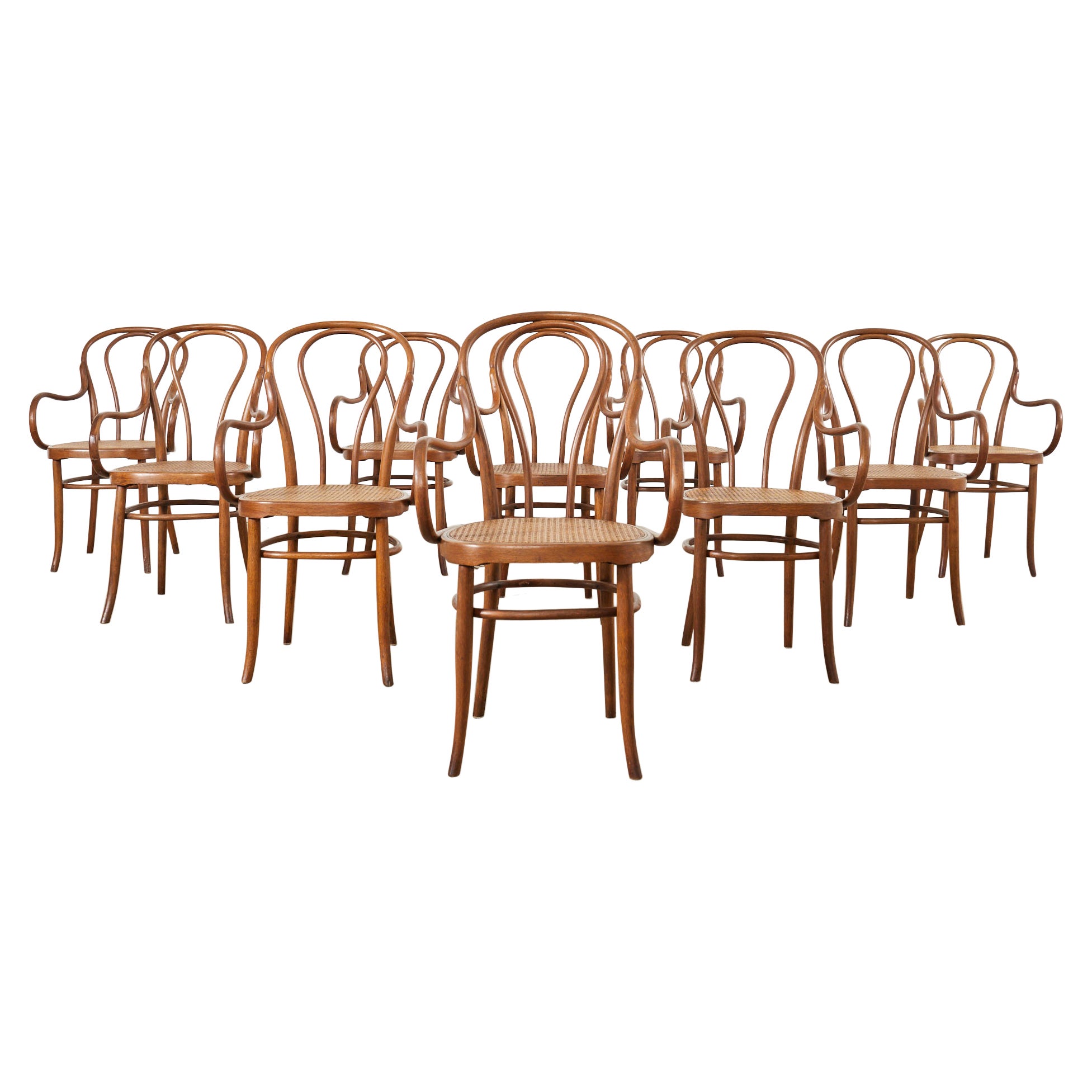 Set of Ten 19th Century J and J Kohn Bentwood Cane Armchairs For Sale