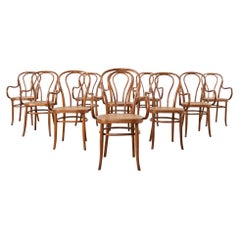 Ensemble de dix fauteuils en bois de canne J et J Kohn du 19e siècle