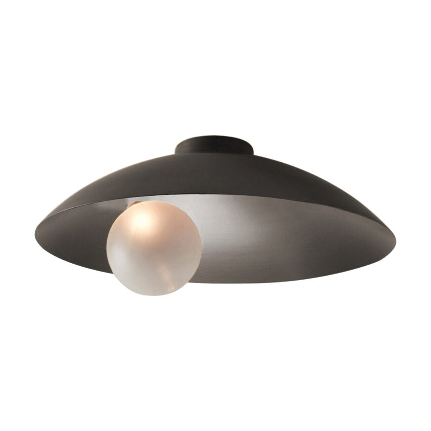 Oyster Brushed Stainless Steel Ceiling Mounted Lamp by Carla Baz For Sale