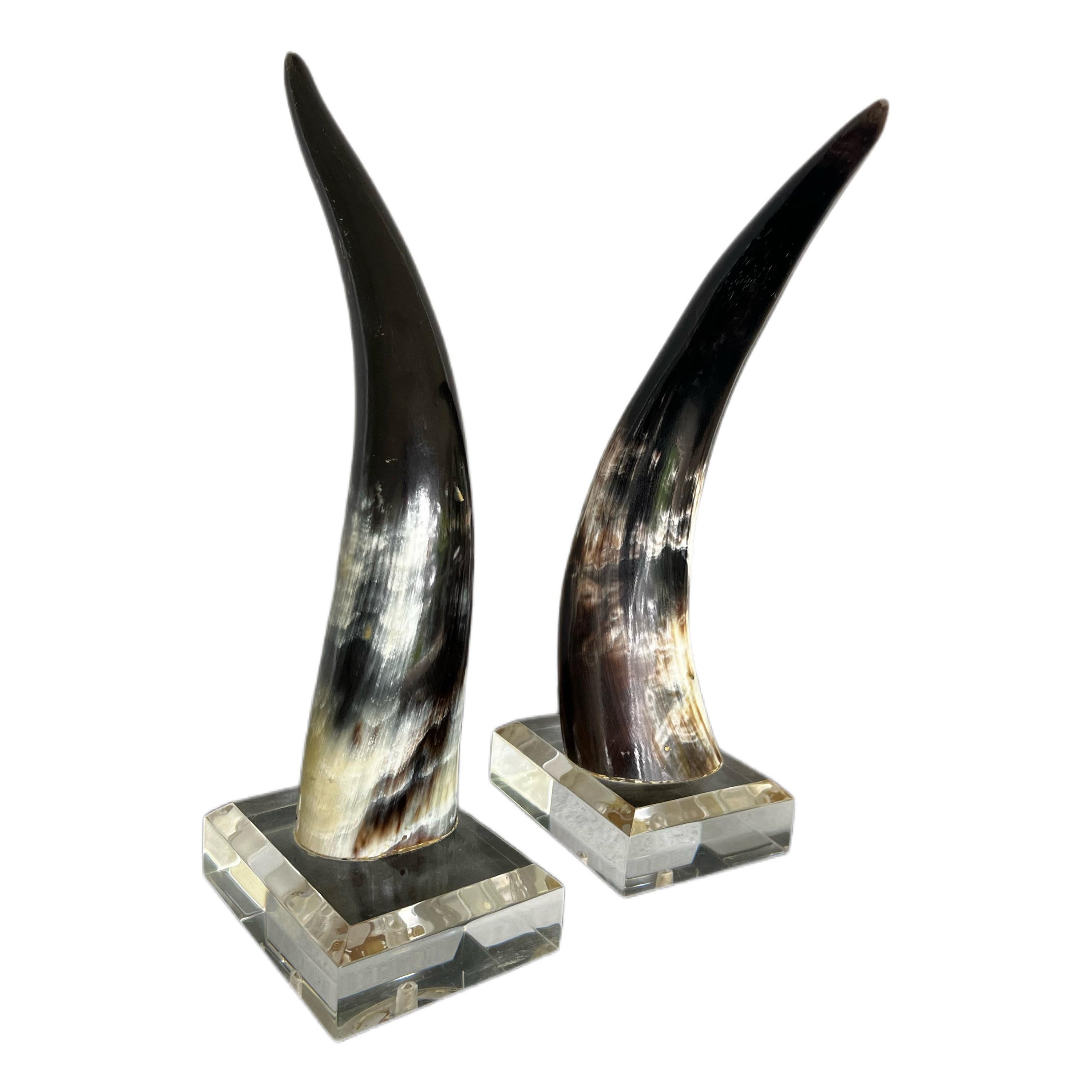 Mid-Century Natural Polished Steer Horns on Lucite Pedestals For Sale