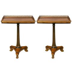 Pair of Rosewood Georgian Style Satinwood Inlaid End Tables with Paw Feet