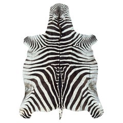 Vintage Zebra Hide Rug in the Style of Ralph Lauren