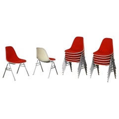 Satz von 12 stapelbaren DSS-Stühlen von Charles und Ray Eames für Herman Miller, 1970er Jahre