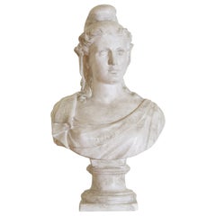 19th Century Plaster Bust of Venus de Milo