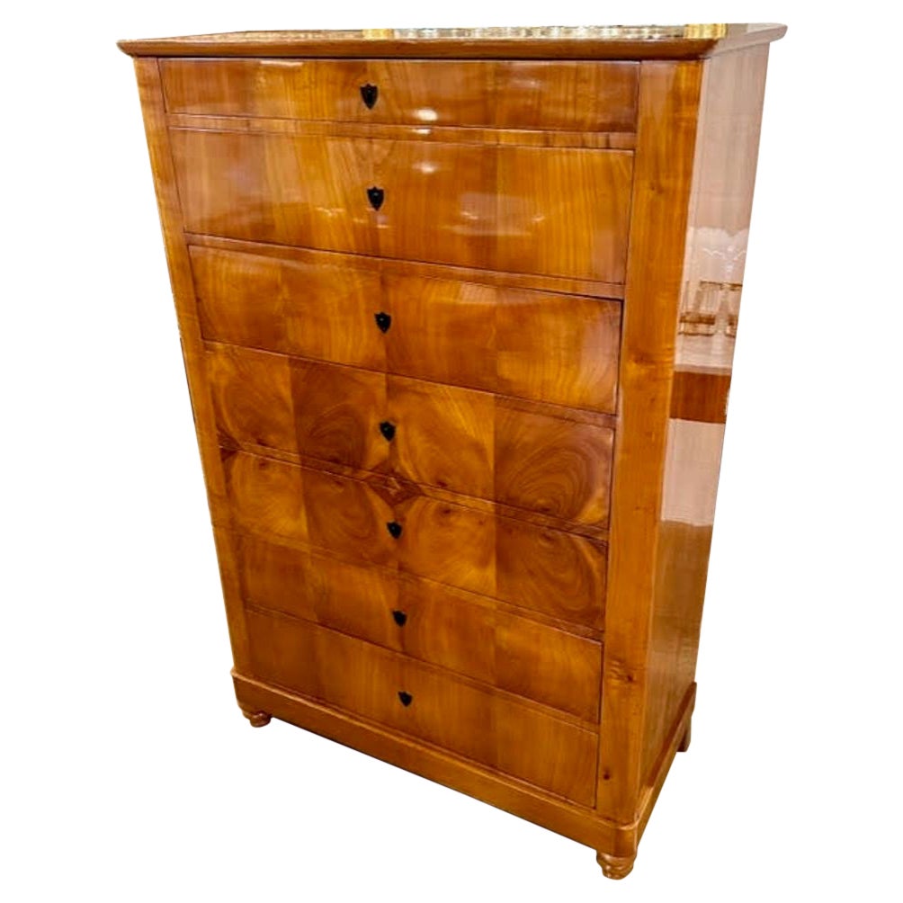 19th Century German Biedermeier Tall Cherrywood Chest of Drawers For Sale