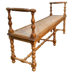 Antique 19th Century French Napoleon III Walnut and Cane Bench