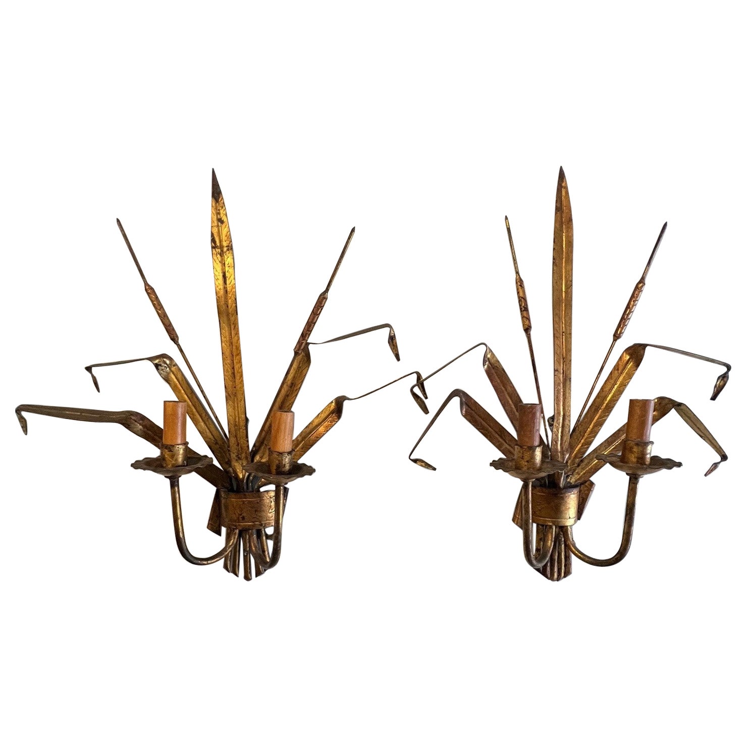 Vintage Pair of Italian Gilt Metal Sconces with Cattails For Sale