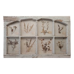 Antique French Door in Provençal blue with herbalist or pressed flowers