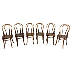 Set of 6 Thonet dining chairs no.16