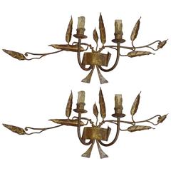 Pair of French 1940s Handmade and Gilt Wrought Iron Sconces 5