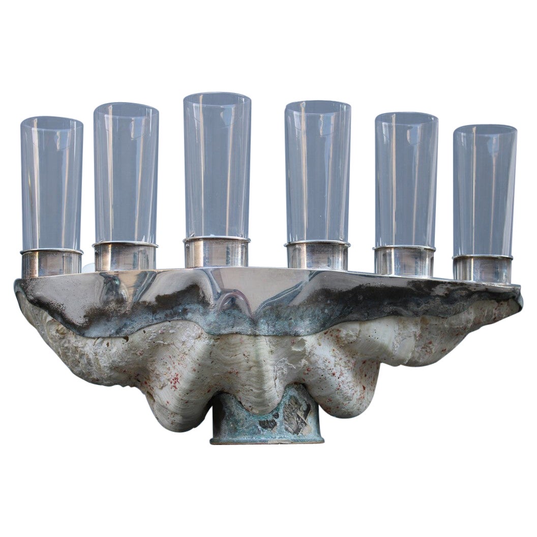 Tridacna Shell With Champagne Glasses Oysters Gabriella Binazzi 1970 For Sale