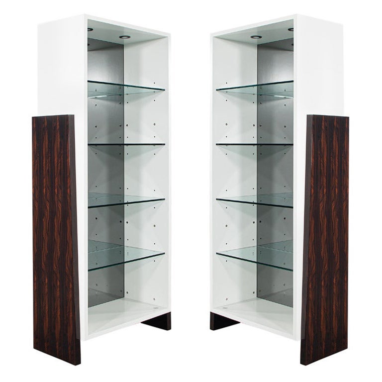 Pair of Modern Bookcase Display Cabinets in Ziricote Wood For Sale