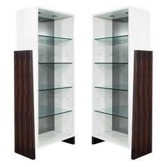 Pareja de vitrinas librería modernas de madera de ziricote