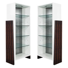 Pair of Modern Bookcase Display Cabinets in Ziricote Wood