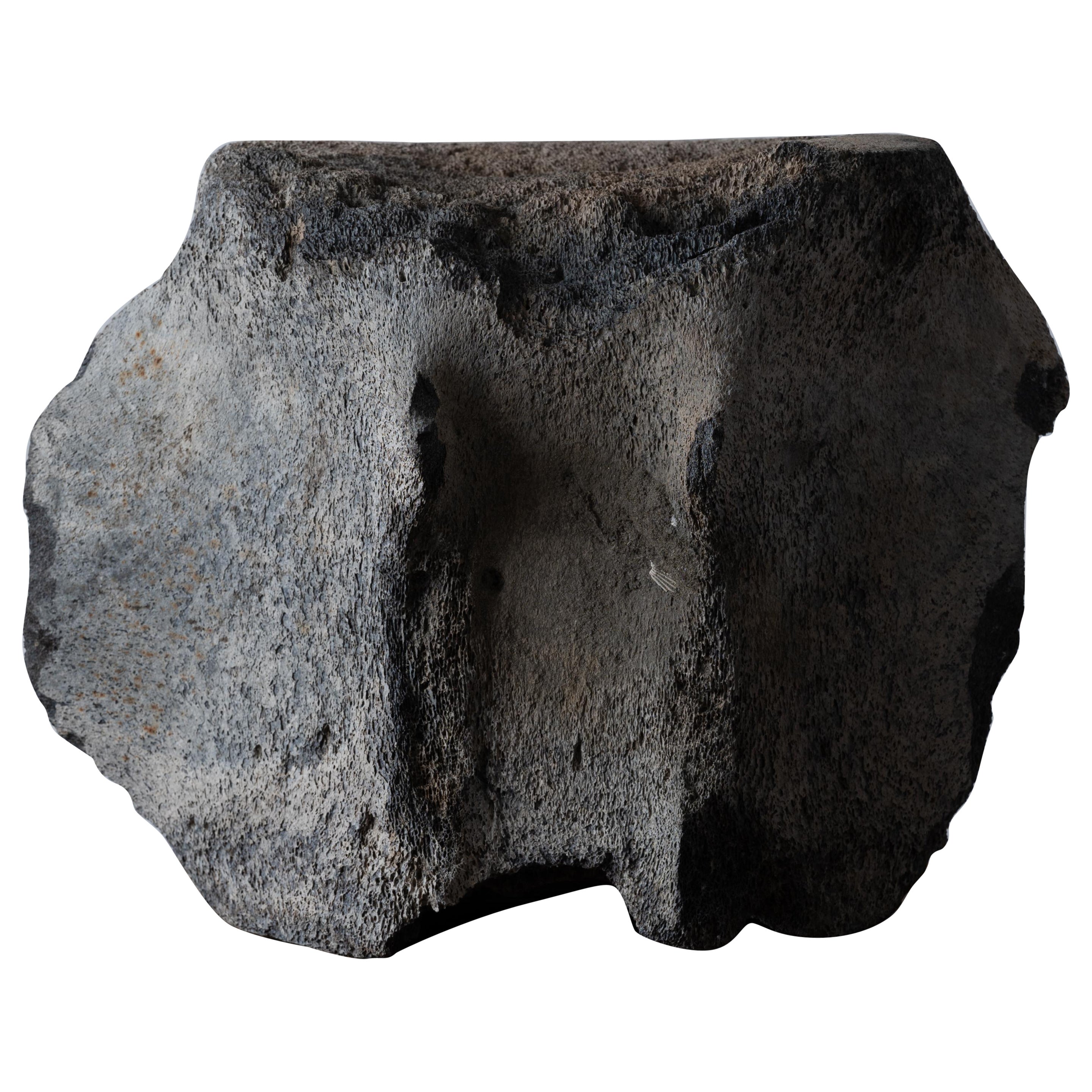 A Fossilized Whale Vertebrae For Sale