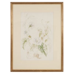 Vintage Hedge Bindweed Watercolour - Vere Lucy Temple (1898 - 1980)