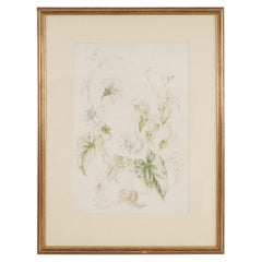 Acuarela Hedge Bindweed - Vere Lucy Temple (1898 - 1980)