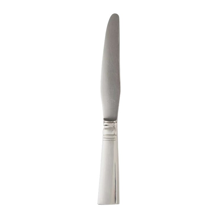 Georg Jensen Acadia Sterling Silver Large Dinner Knife 003 For Sale