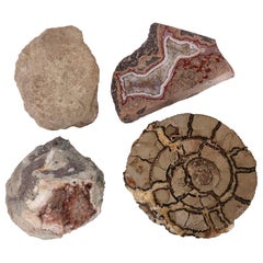 Set aus rosa Amethyst, Achat, versteinertem Ammonit und Korallen Fossil