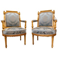 Antique A fine pair of 19th century French Louis XVI hand carved and gilded armchairs. 