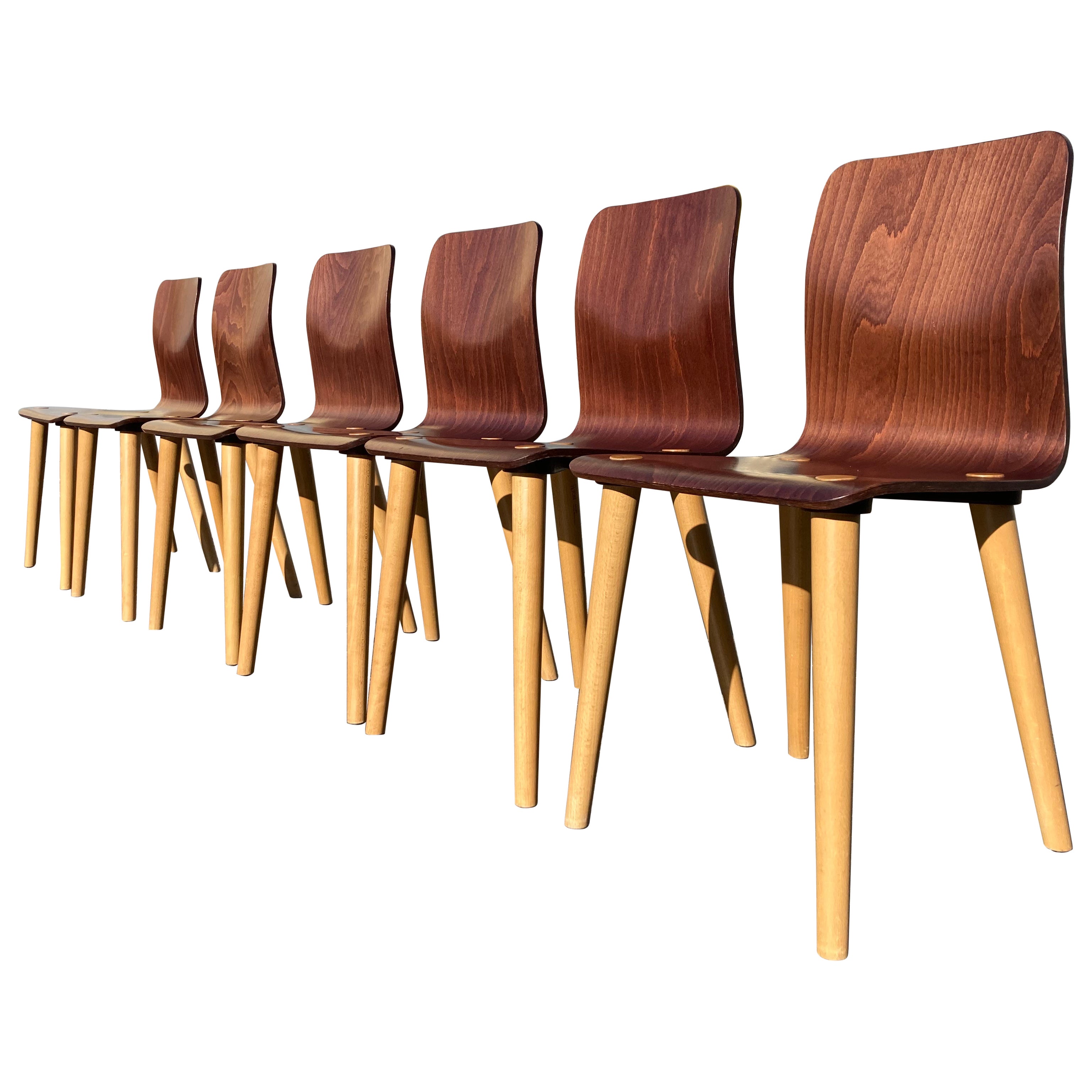 Set of Six Malmo Dining Chairs by Michal Riabic for Ton, Bentwood For Sale