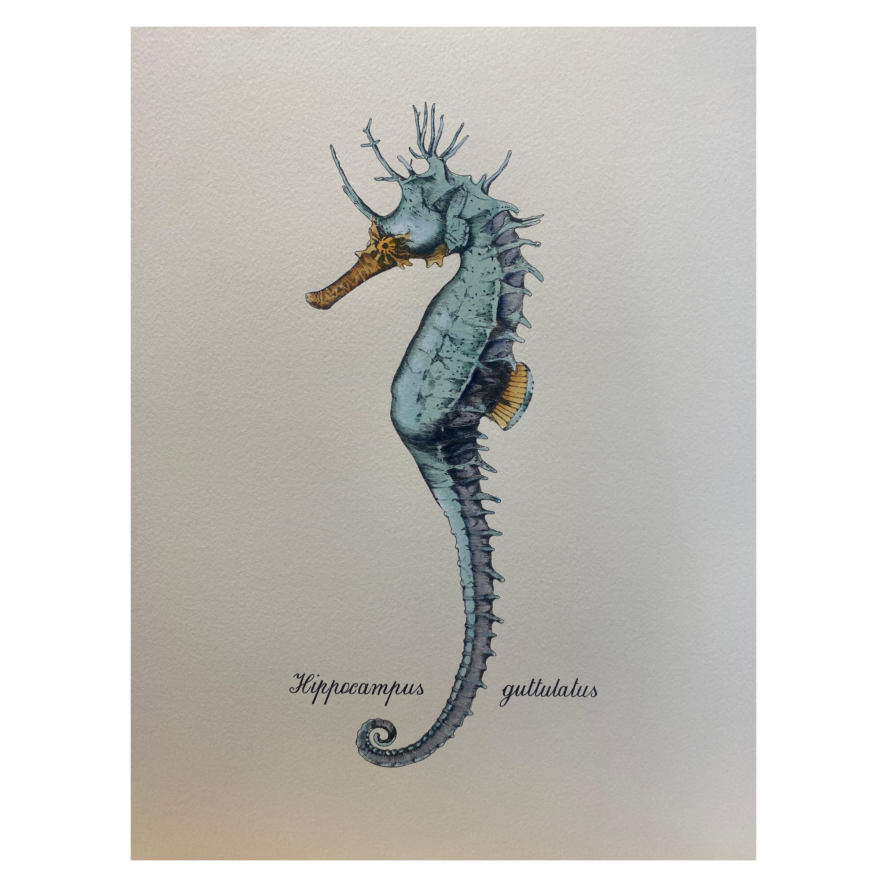 Italian Contemporary Hand Painted Print "Hippocampus Guttulatus", 1 of 2 For Sale