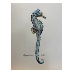 Italian Contemporary Hand Painted Print "Hippocampus Kuda", 2 of 2