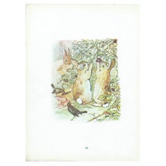 Original Antique Peter Rabbit Print After Beatrix Potter. C.1920