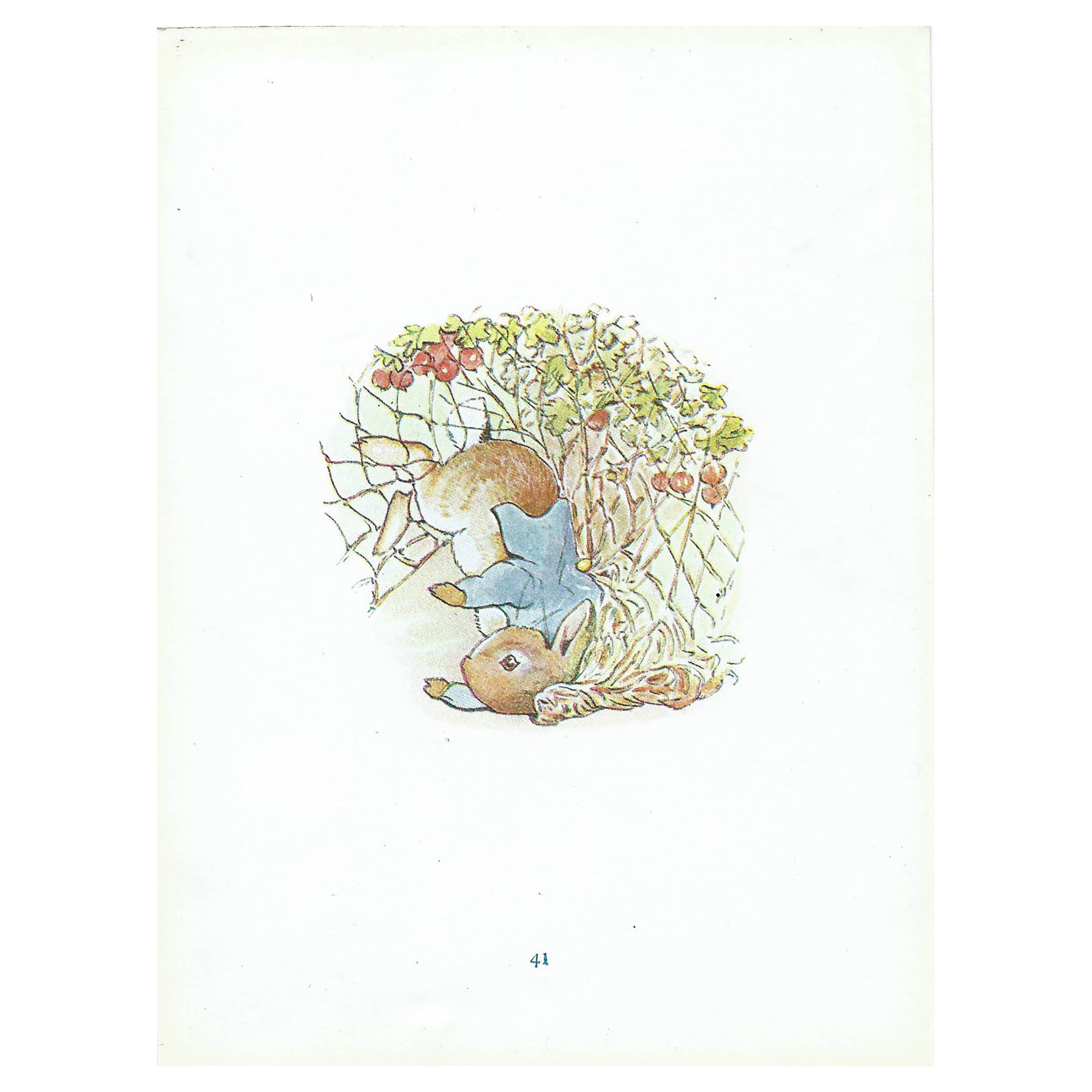 Original Vintage Peter Rabbit Print After Beatrix Potter. C.1920