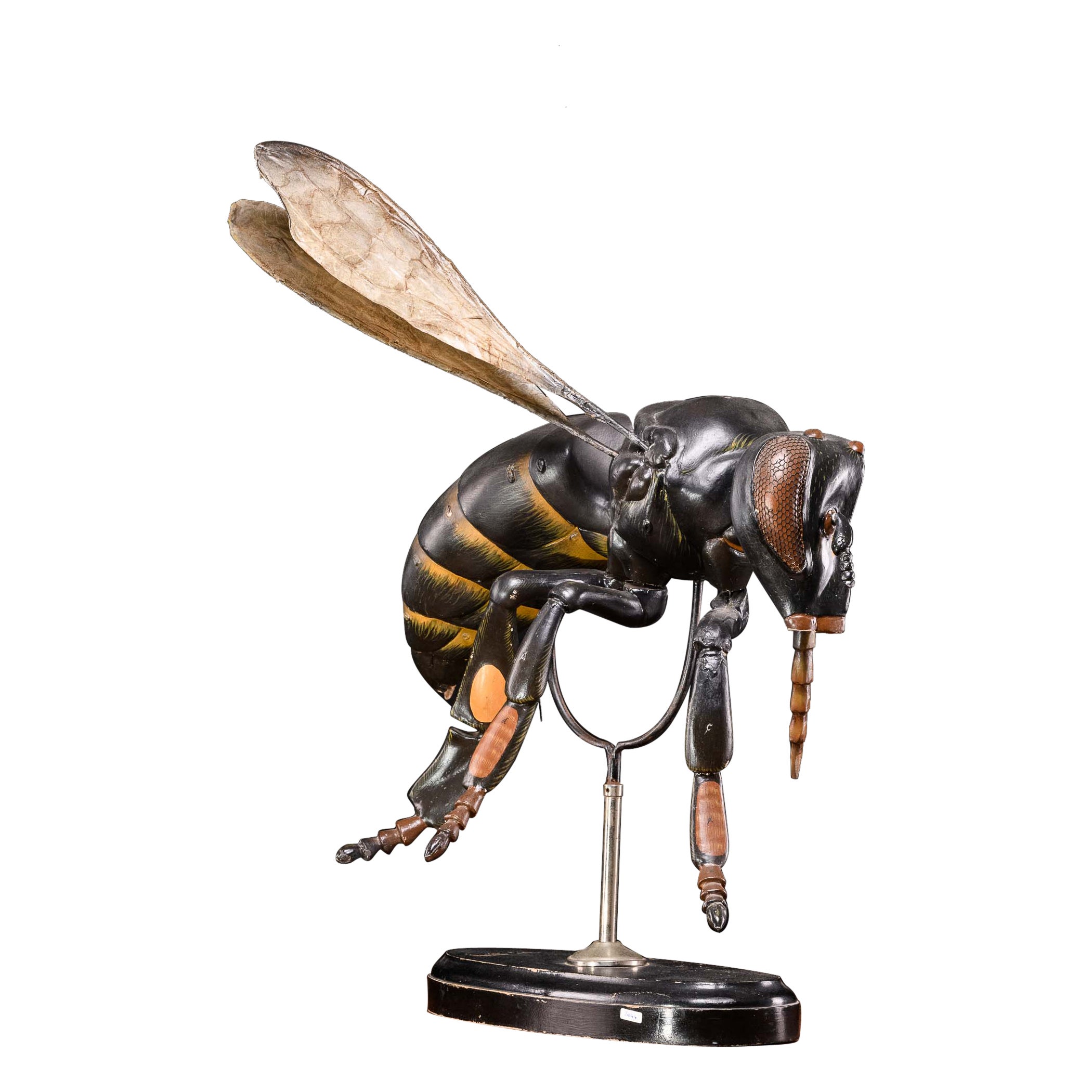 Grand modèle didactique d'une abe étiqueté Denoyer-Geppert Company of Chicago 