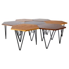 Ensemble de 7 pièces  Gio Ponti pour ISA Tables tricolores hexagonales, années 1950 Stratifié Chêne Acier