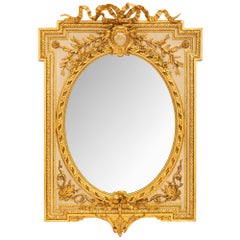 French 19th Century Louis XVI St. Patinated And Giltwood Mirror