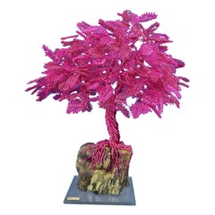 Bonsai "Sakura in Italy", Handmade in Italy, Signed by the artist. Bespoke