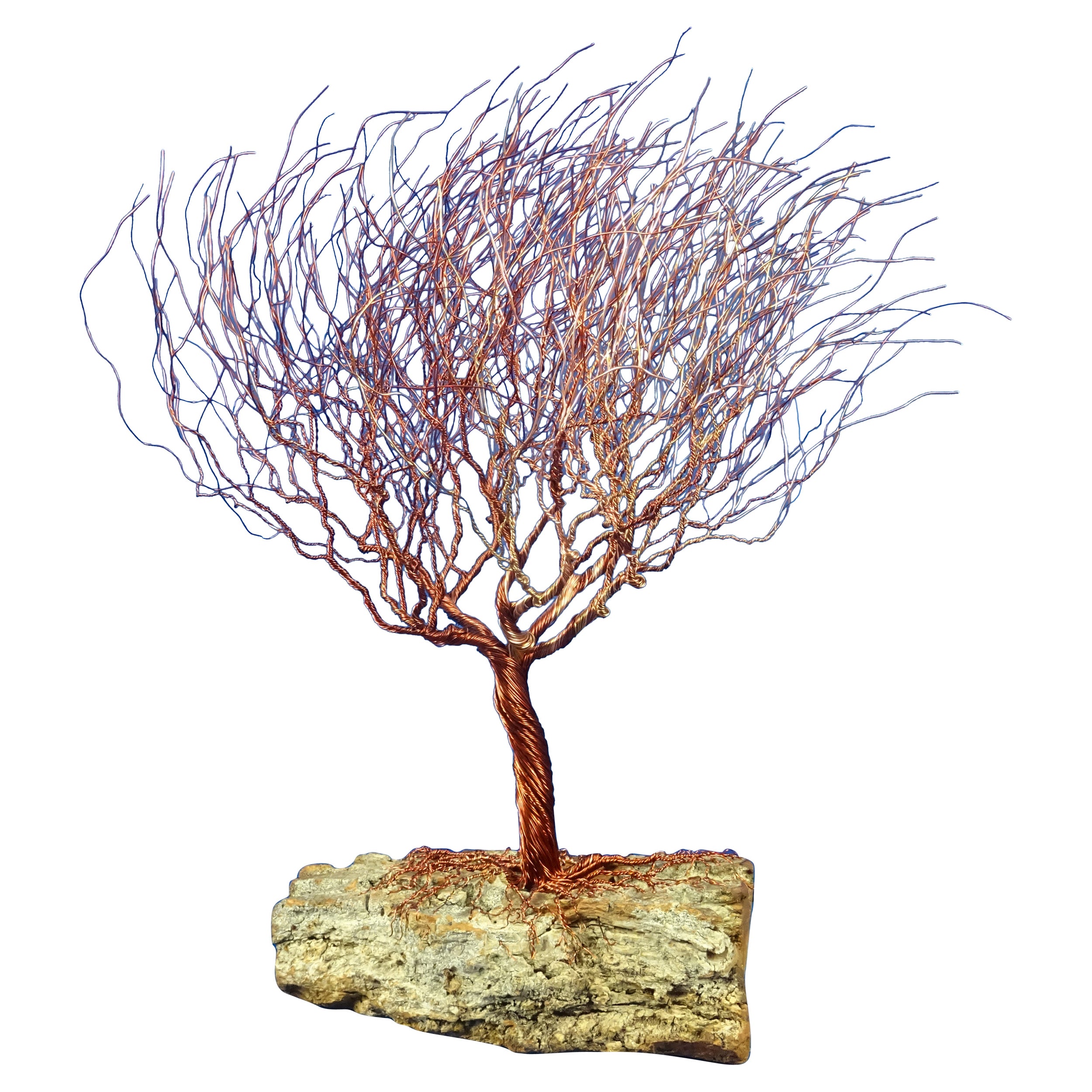 Bonsai "Invierno en la campiña italiana ", Hecho a mano en Italia, Firmado por el artista