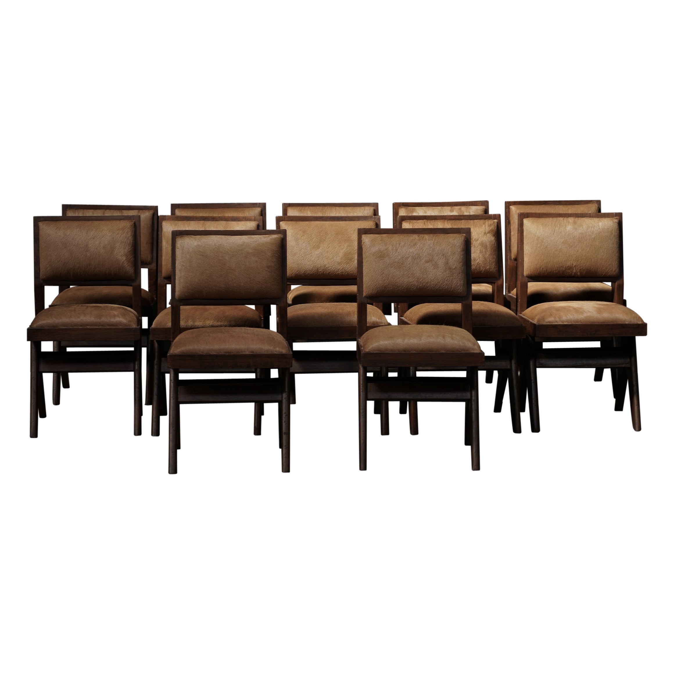 Pierre Jeanneret Dining Chairs with Metal Detail, Set of 12 in Whiskey Cowhide For Sale