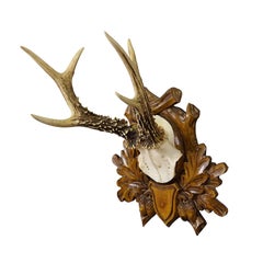 Black Forest Vintage Deer Trophy on Carved Plaque