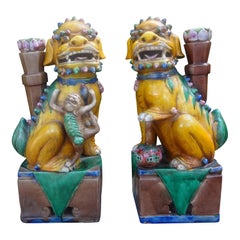 Coppia di cani Foo in terracotta smaltata cinese