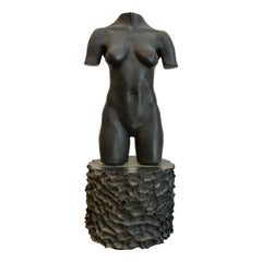 Robert Graham Bronze Torso Sculpture