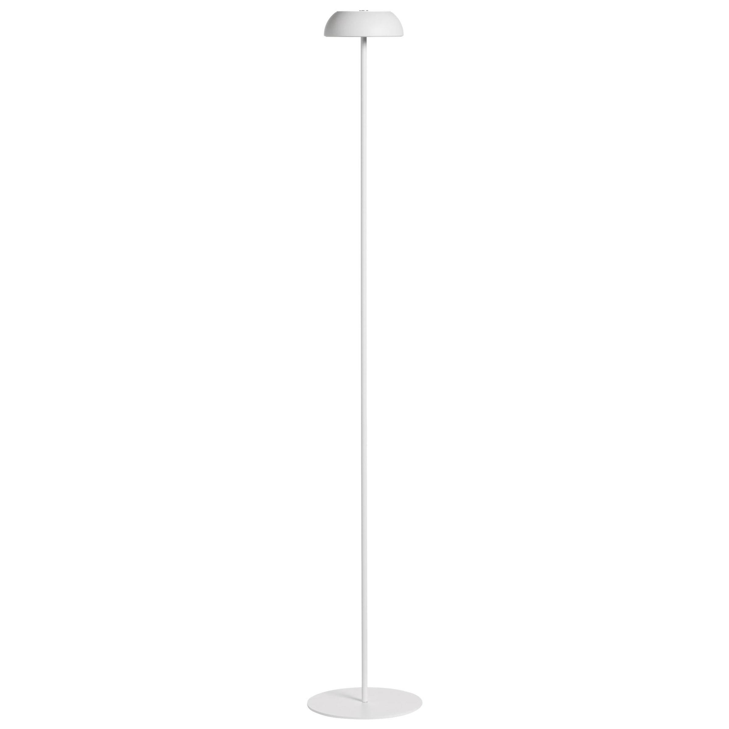 Axolight Float Floor Lamp in White Aluminum and Steel by Mario Alessiani For Sale