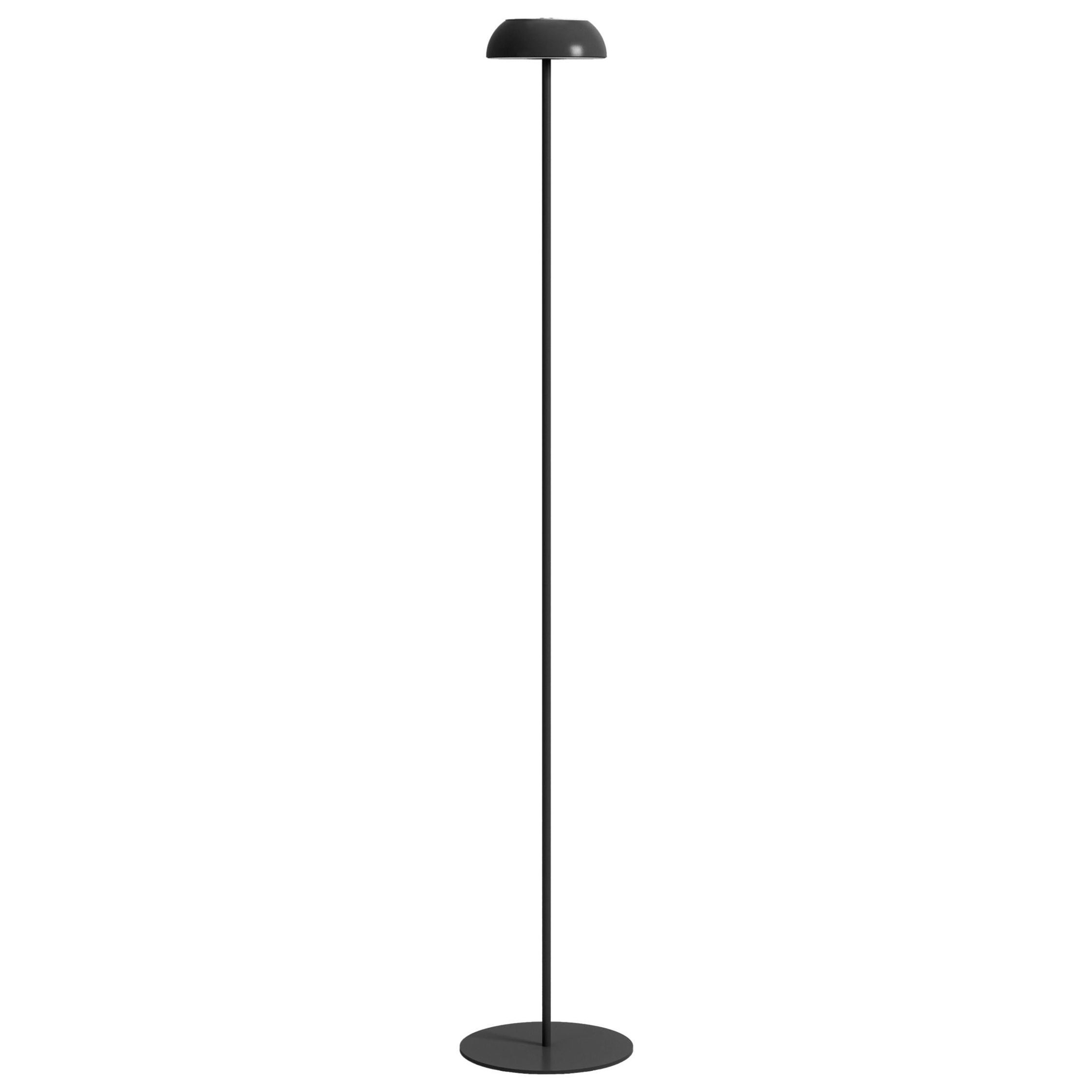 Axolight Float Floor Lamp in Black Aluminum and Steel by Mario Alessiani For Sale