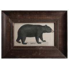 Original Antique Framed Print of a Black Bear, 1847