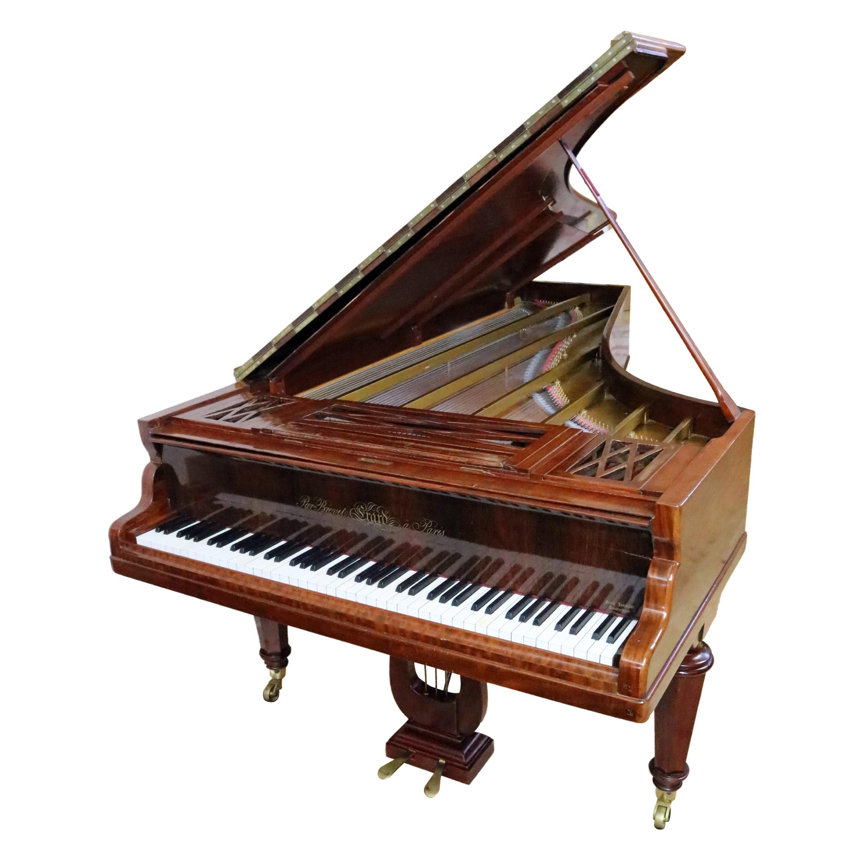 Erard Parallel-Strung Grand Piano, Paris, 1845 For Sale