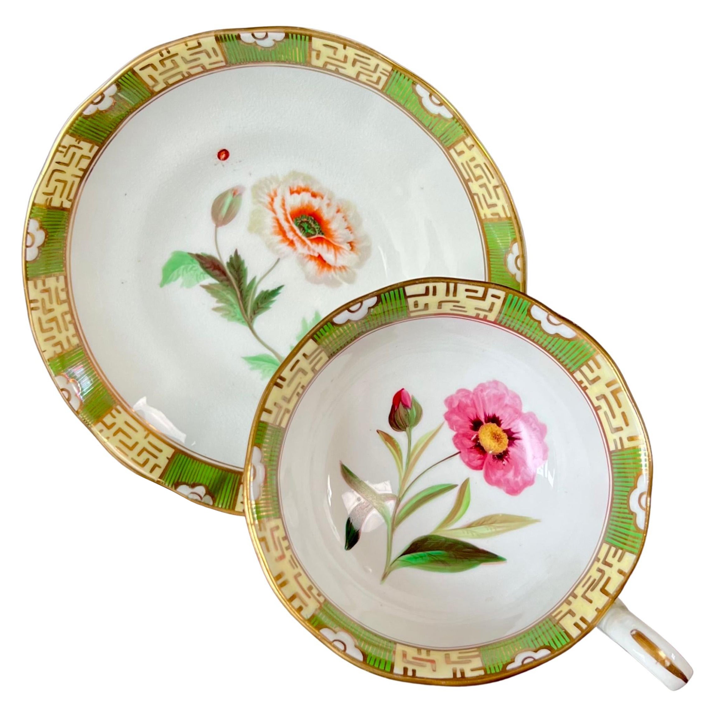 Tasse à thé japonaise Samuel Alcock, bordure verte, fleurs et coccinelle, vers 1843