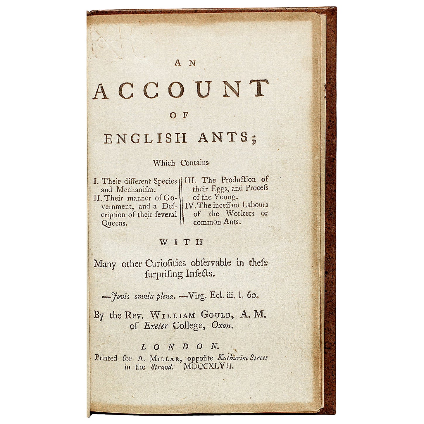GOULD, William - An Account of English Ants - 1747 - FIRST EDITION For Sale