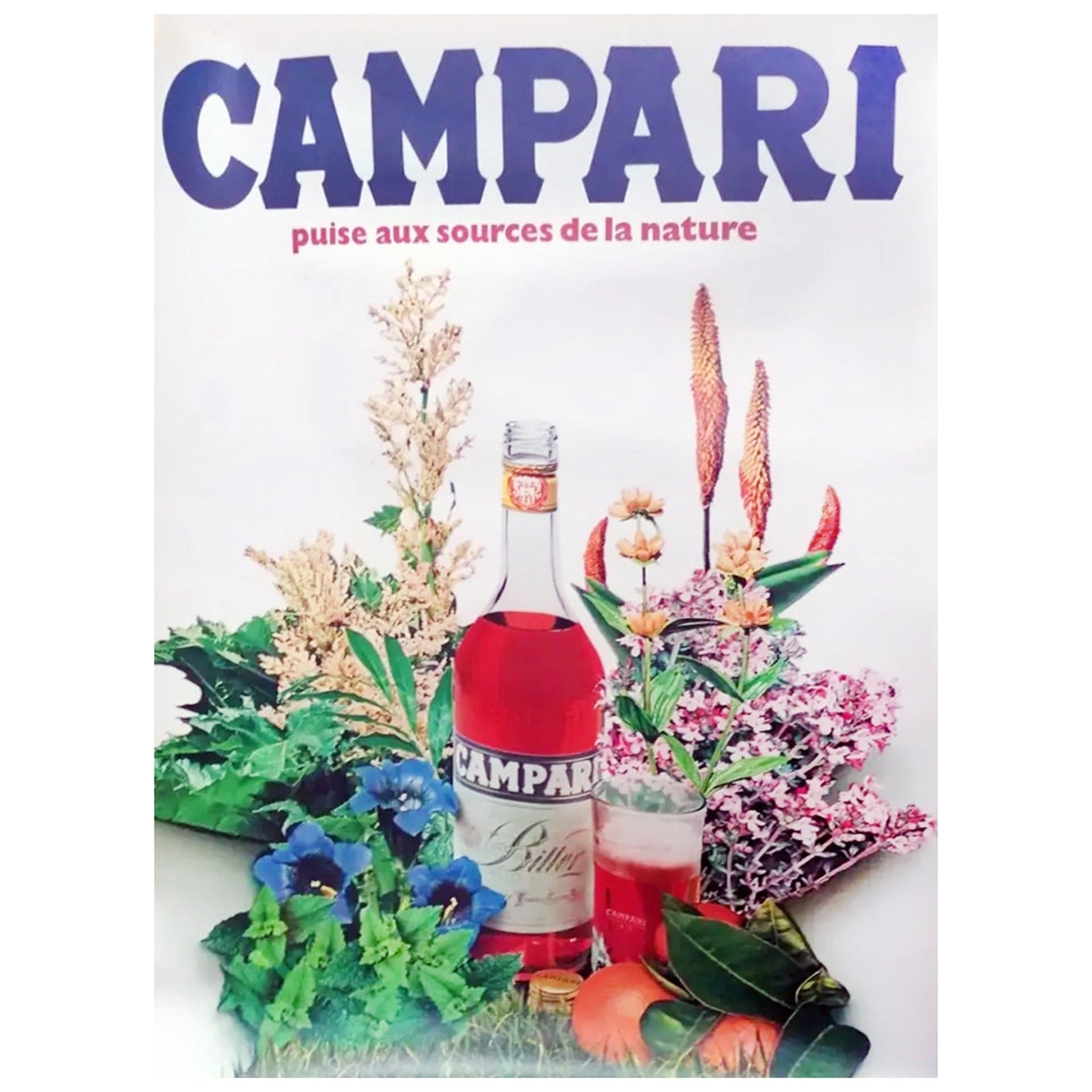 Affiche vintage originale Campari - Sources of Nature, 1969 en vente