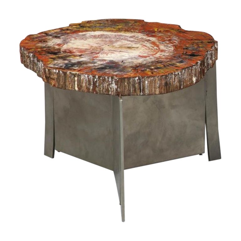 Rare Petrified Wood and Steel Side Table by Claude De Muzac, circa 1970 For Sale
