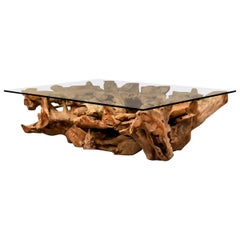 Extra Large Teak Root Base Cocktail or Coffee Table